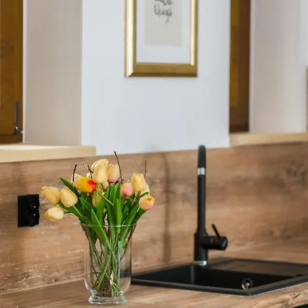 Kamienica Chełmońskiego 10 Przy Mtp By Renters *